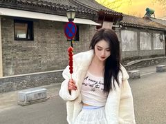 -北京国子监胡同