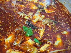 -川渔居—鱼火锅(八方汇店)