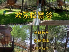 -欢乐松鼠谷