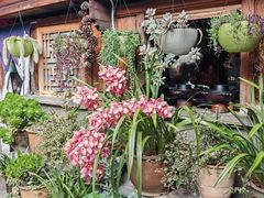 -龙姐私房菜(和顺古镇店)