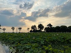 -滆湖低碳生态公园