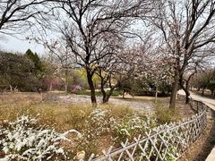 -北京西山国家森林公园