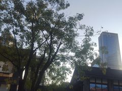 -春熙路步行街