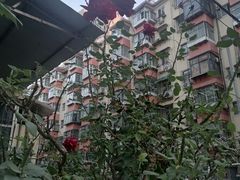 -四厂烩面(棉纺路店)