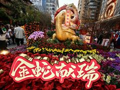 -越秀西湖花市(广州城市广场花卉店)