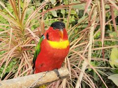 -南宫五洲植物乐园