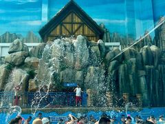 -青岛东方影都融创水世界