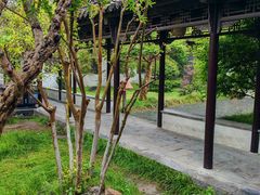 -沈坤状元府景区