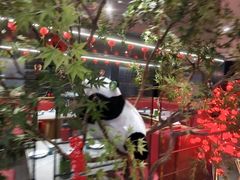 -四川饭店(城乡购物中心店)