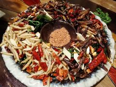 -紫滇源云南生态菜(丹凤街店)