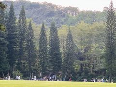 -深圳仙湖植物园