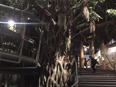 -长江文明馆