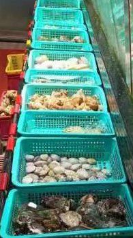 -海大大蒸汽海鲜餐厅·粤菜·特色小炒(欢乐颂店)