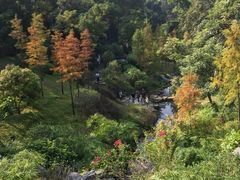 -云溪植物园