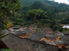 -杨家堂村