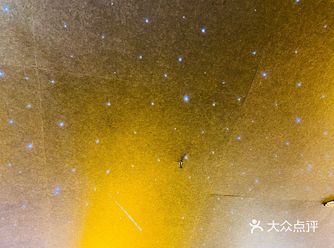 这样的宠物店你见过吗....