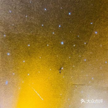 这样的宠物店你见过吗....