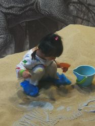 -恐龙探索乐园(磁器口店)