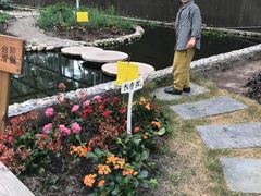 -上海多利农业发展有限公司