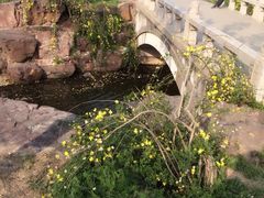 iphone_upload_pic-灵岩山风景区