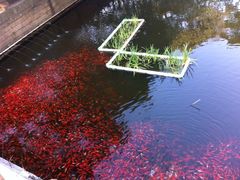 iphone_upload_pic-普陀山风景名胜区-法雨禅寺