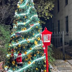 -米莱摄影写真(五大道别墅店)