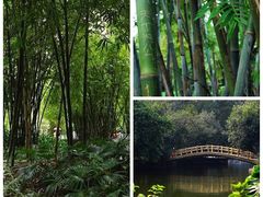-晓港公园