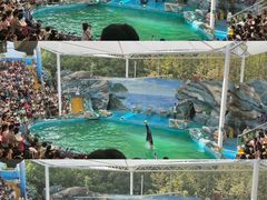 -上海野生动物园