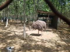 -草根堂农场