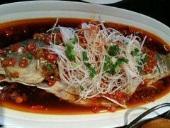 android_upload_pic-三强鸽子(胜利路店)