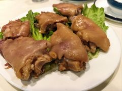 -丁老爷子苏香圆