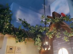 -菌彩云南野生菌火锅(呈贡七彩云南第壹城店)