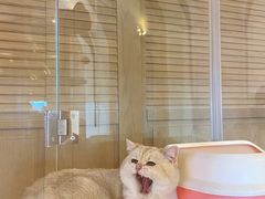 -Me Coffee下午茶艺术空间