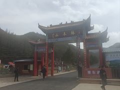 -苏木山森林公园