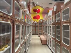 -meland club亲子乐园(重庆万象城店)