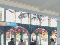 -海合安成都极地海洋公园