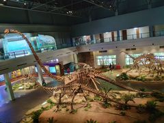 -自贡恐龙博物馆