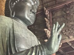 -奈良公园