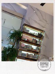 -罗亚帝造型·烫发染发