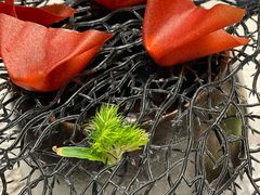 -迦南苑·新派青岛菜·生日纪念日主题餐厅