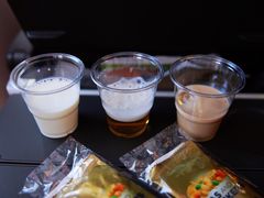 -新加坡航空公司(ION)