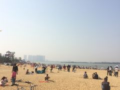 -瑶湖郊野森林公园