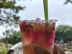 -黄龙溪古镇