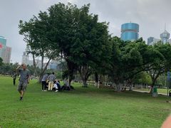 -万绿园