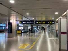 -上海浦东国际机场-T2航站楼