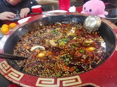 -烧哥美蛙肥肠鱼火锅·十五年社区店
