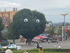 -特克斯八卦城