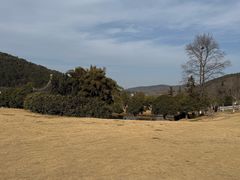 -龙寺生态园