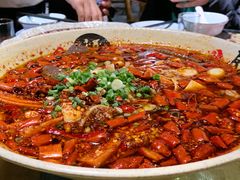 -青城甲(青城山店)