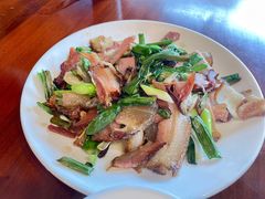 -龙翔山庄雷鸡肉(青城后山泰安古镇店)